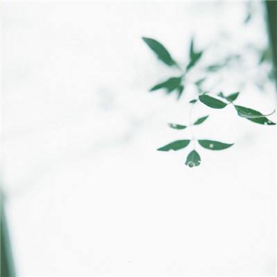 侠客道果盘版下载